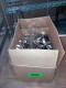 Lot # 7220 - Box of Miscellaneous Kitchen Utensils