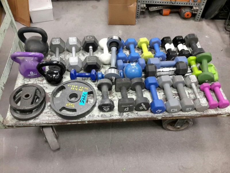 iBid Lot 7895 Miscellaneous Dumbbells, Kettle, & Plate Weights
