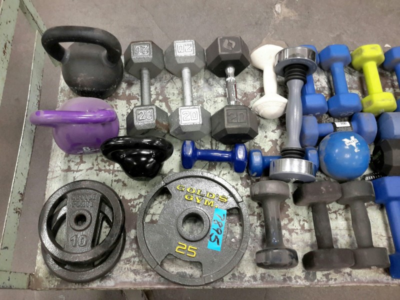 iBid Lot 7895 Miscellaneous Dumbbells, Kettle, & Plate Weights