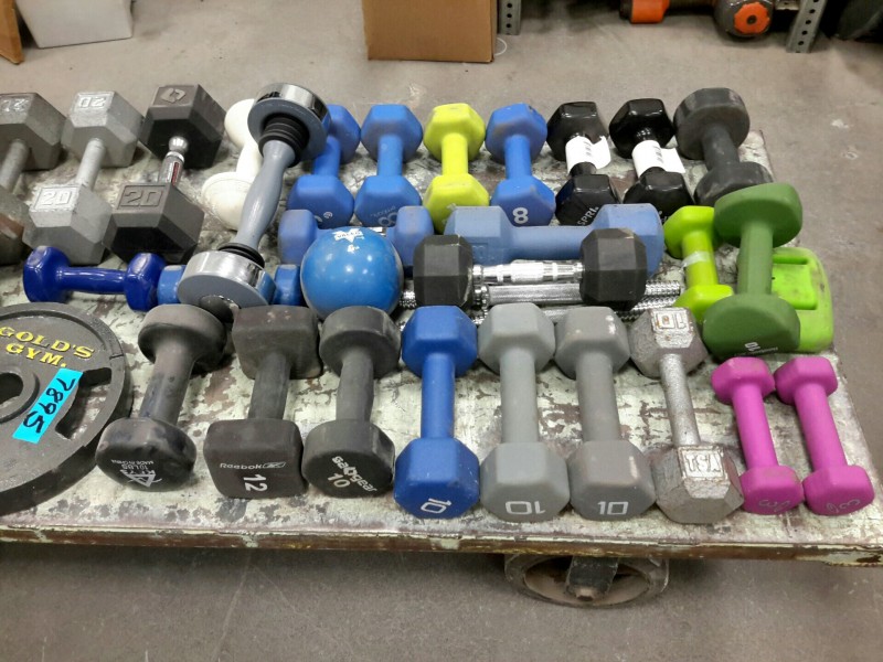 iBid Lot 7895 Miscellaneous Dumbbells, Kettle, & Plate Weights