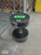Lot # 3232 - 55lb Dunbbell