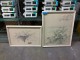 Lot # 4350 - Framed Pictures (2 each)