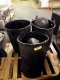Lot # 7907 - Waste Cans & Medicine Balls