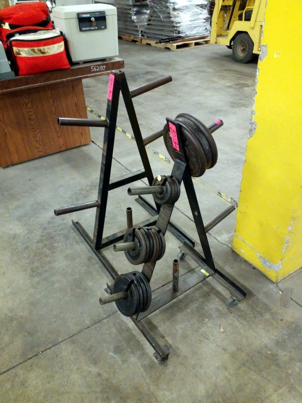 iBid Lot 8013 Weight Trees & Weights