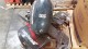 Lot #2307 Outboard Motors