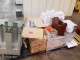Lot #2911 Food Service Items