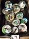 LOT # 119 TSA SHOW GLOBES