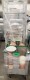 Lot # 6042 ROLLING DISH CADDY & ROLLING RACK WIT