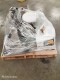 Lot # 6131 PALLET OF VARIOUS PANS/ BOWLS, CONTAINERS