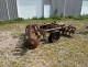 ALLIS CHALMERS MODEL K OFFSET DISC HARROW- Off-Site Sale