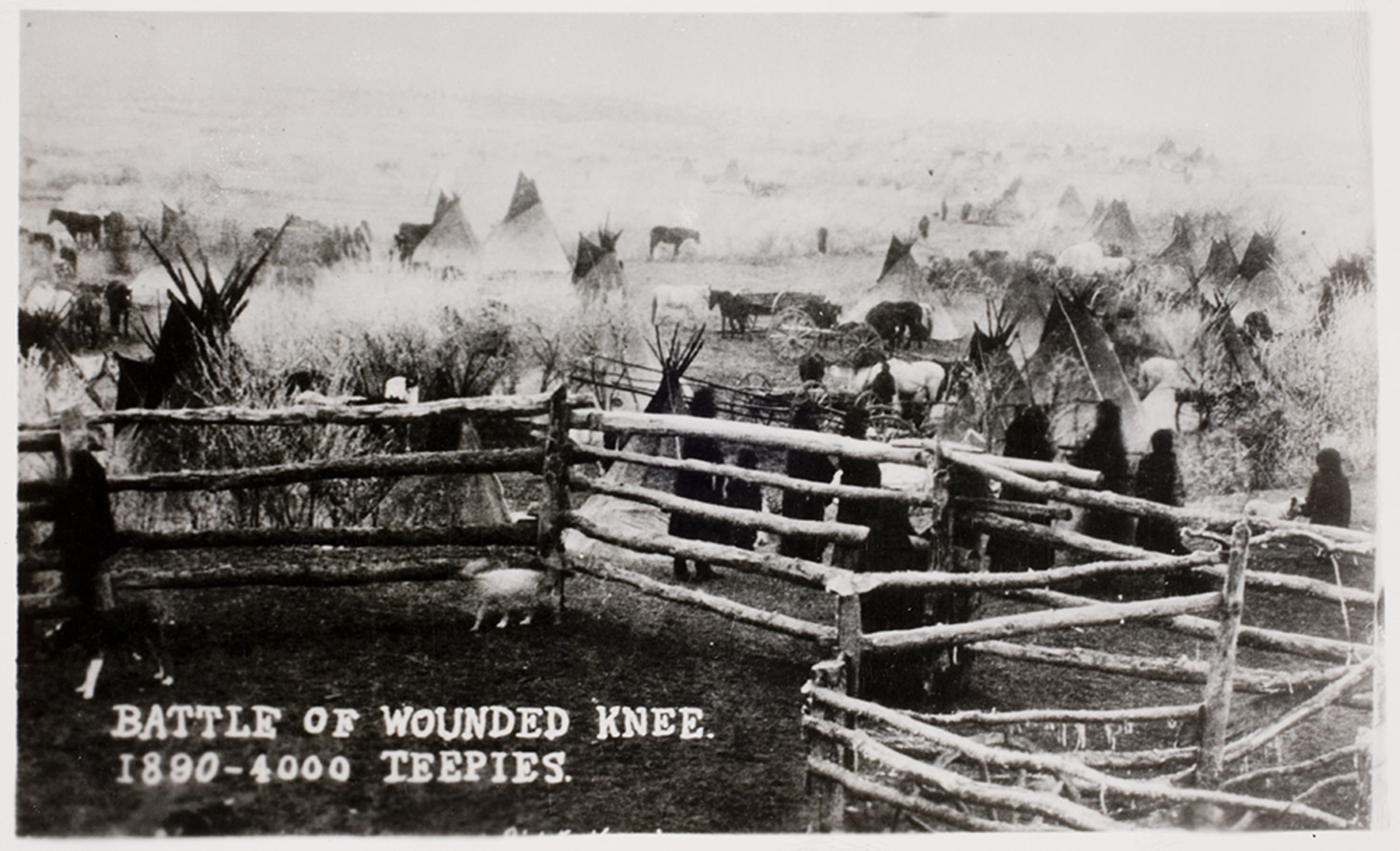 Battle of Wounded Knee. 18904000 Teepies International Center of