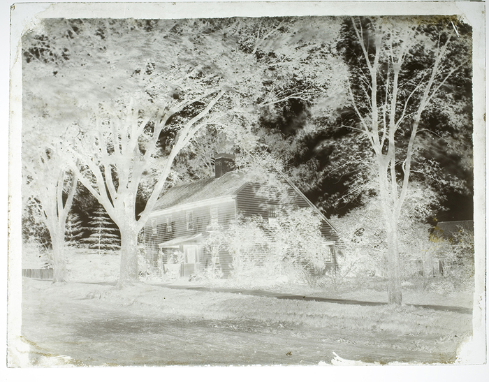 [Thomas Painter House and trees]
