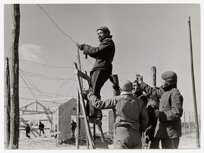 [Men string barbed-wire fences inside concentration camp for Spanish refugees, Le Barcarès, France]