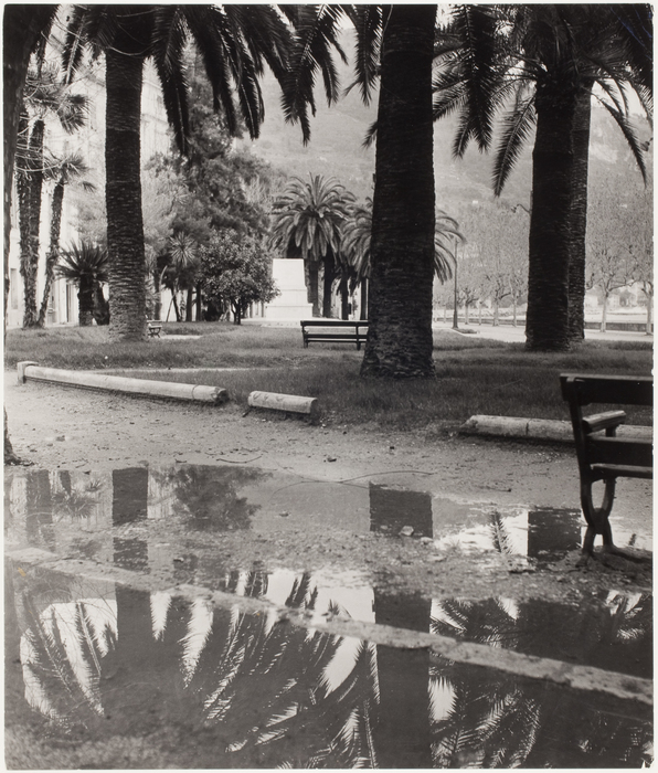[Puddle of water in garden, Menton, France]