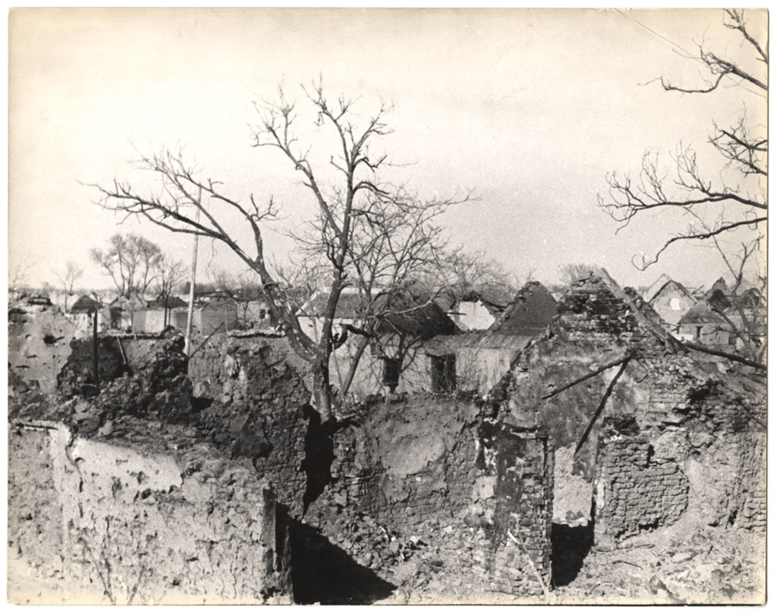 [Aftermath of the Battle of Tai'erzhuang, Xuzhou front, China