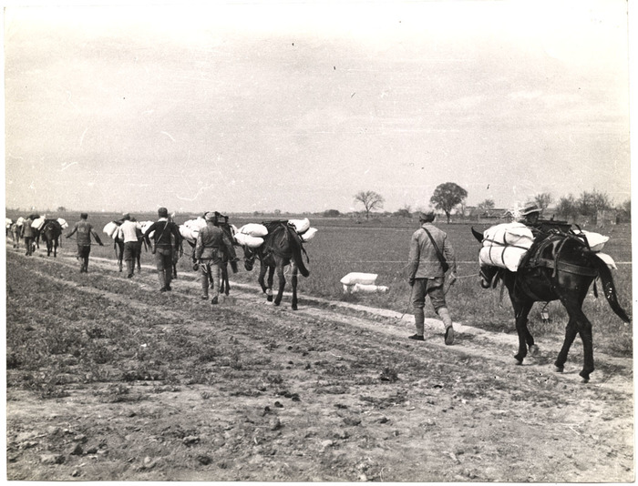[Soldiers and donkeys with bundles of food, Tai'erzhuang, Xuzhou front, China]