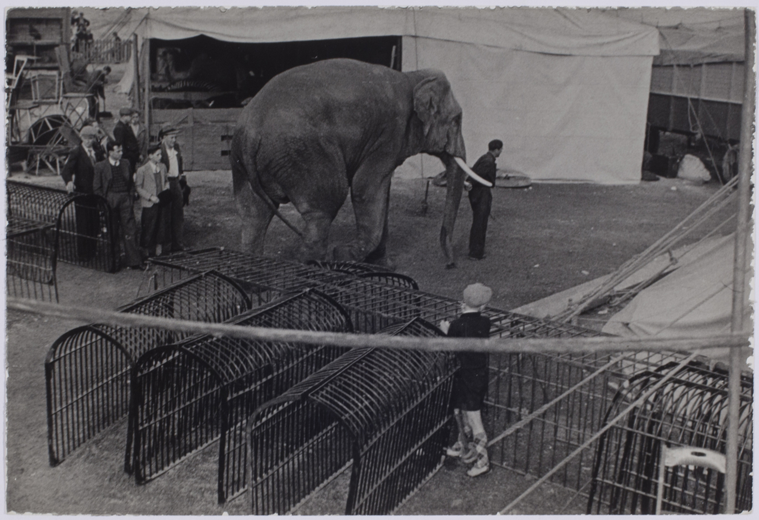 [Animal cages and elephant at the Circus, Paris] International Center