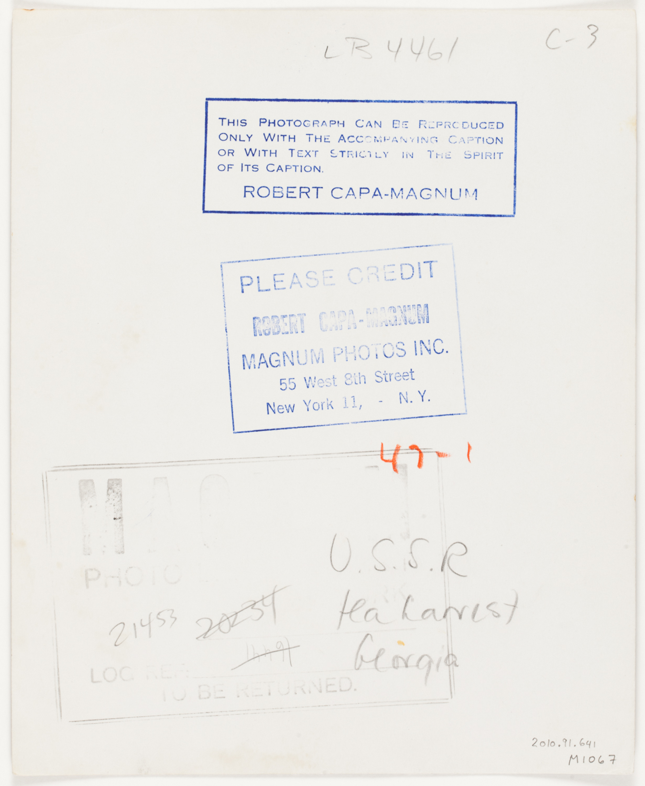 [Woman picking tea leaves up during the harvest, Guria, Soviet