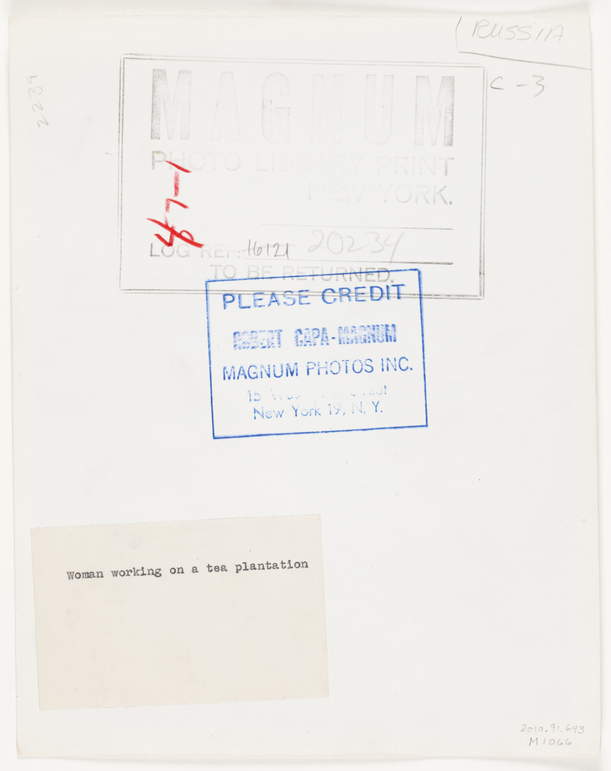 [Woman harvesting tea leaves in a tea plantation, Guria,