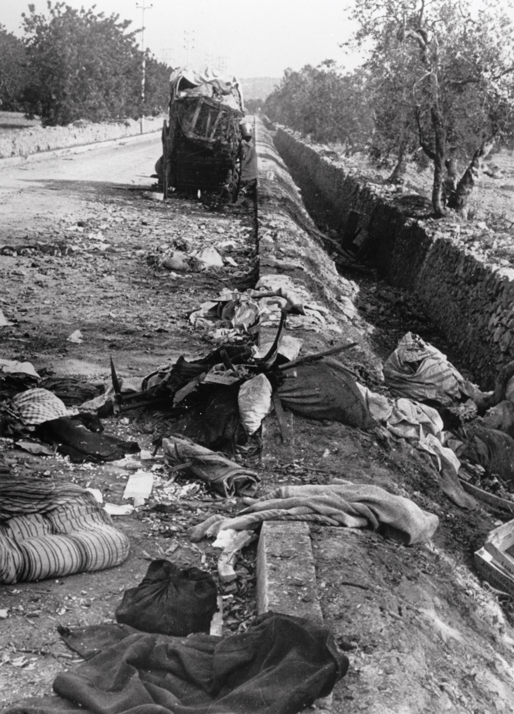 2014 capa | International Center of Photography