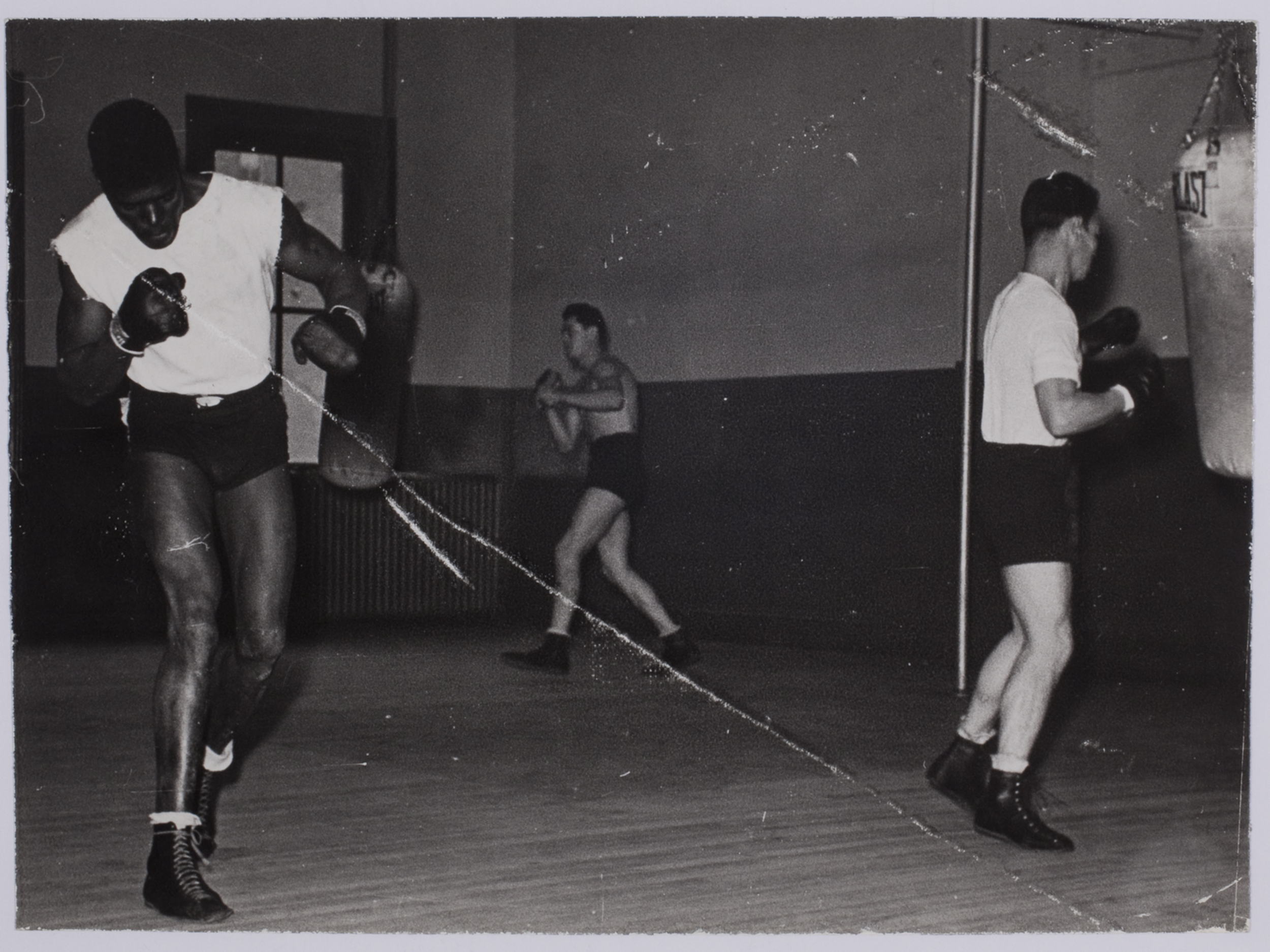 [Boxers training, hitting punching bags at Stillman's Gym, New York