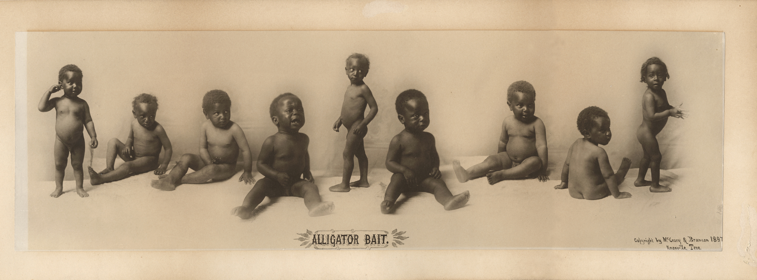 Alligator Bait International Center of Photography