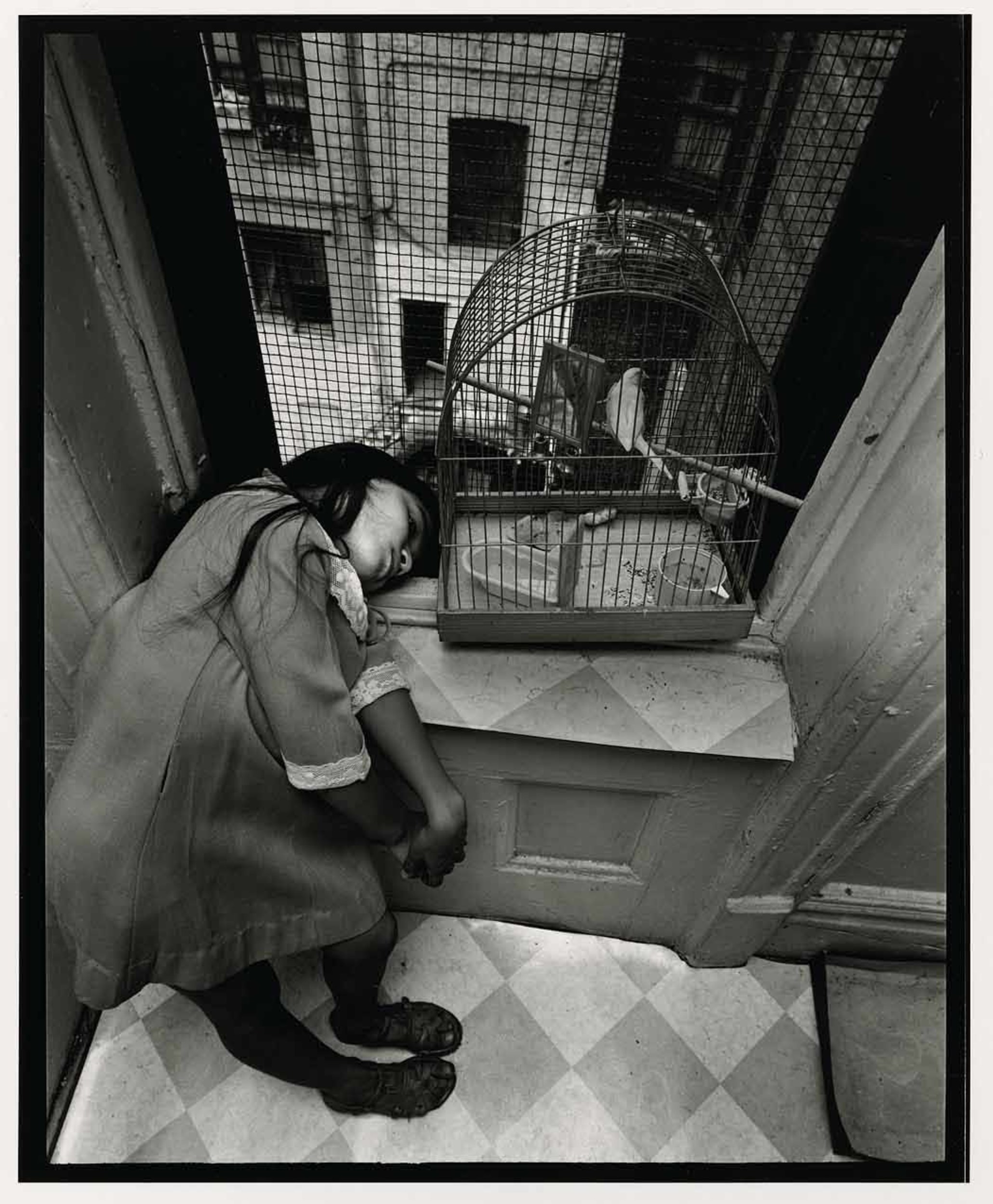 [Girl with bird in cage, New York] International Center of Photography