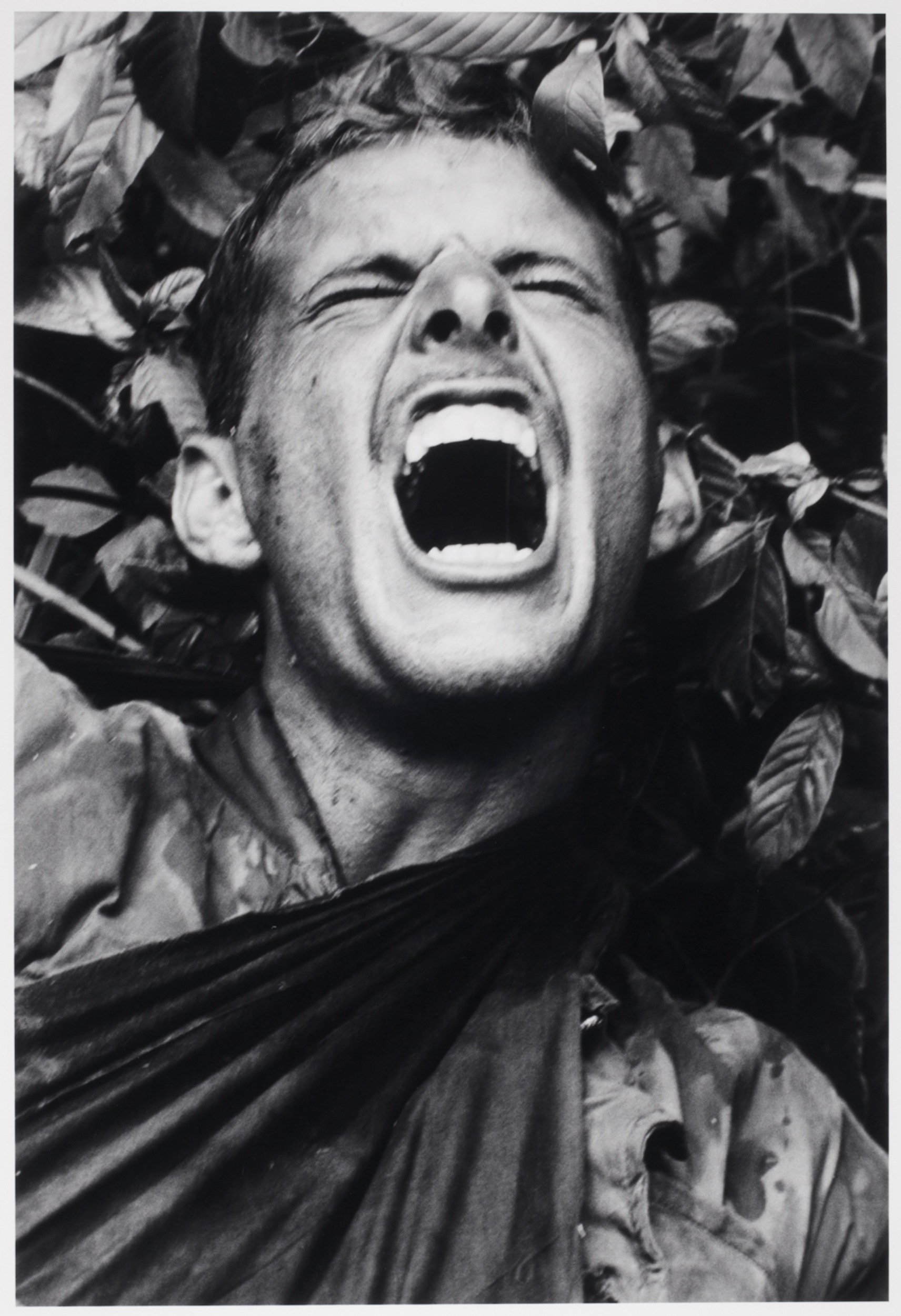 What chapter does catherine die in wuthering heights image