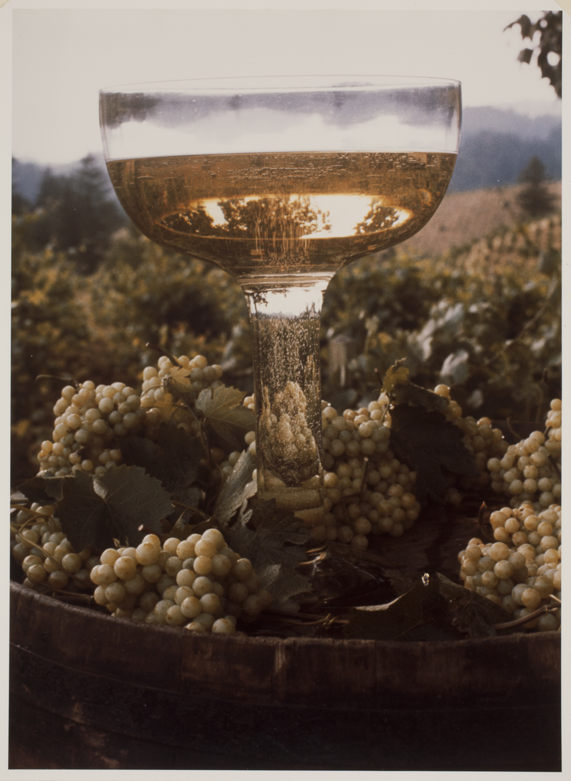 [Champagne, Napa Valley, California] International Center of Photography