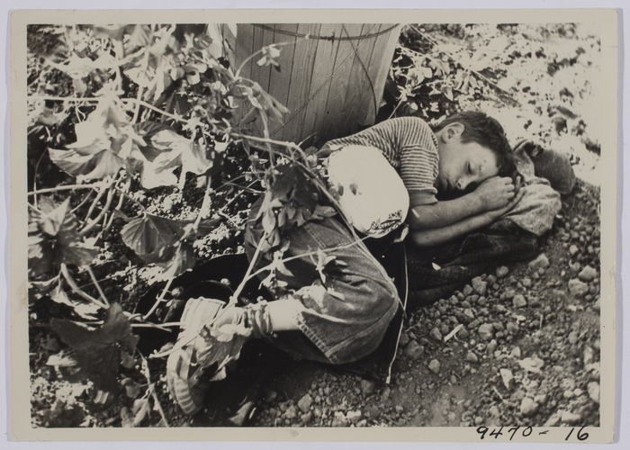 [Young boy napping on farm]