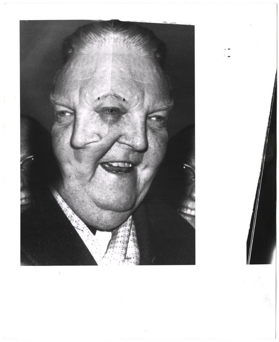 Ludwig Erhard (distortion)