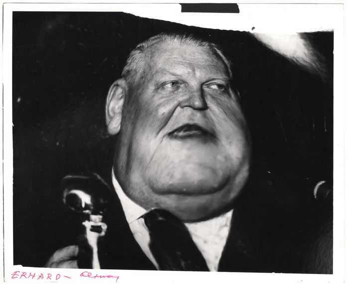 Ludwig Erhard (distortion)