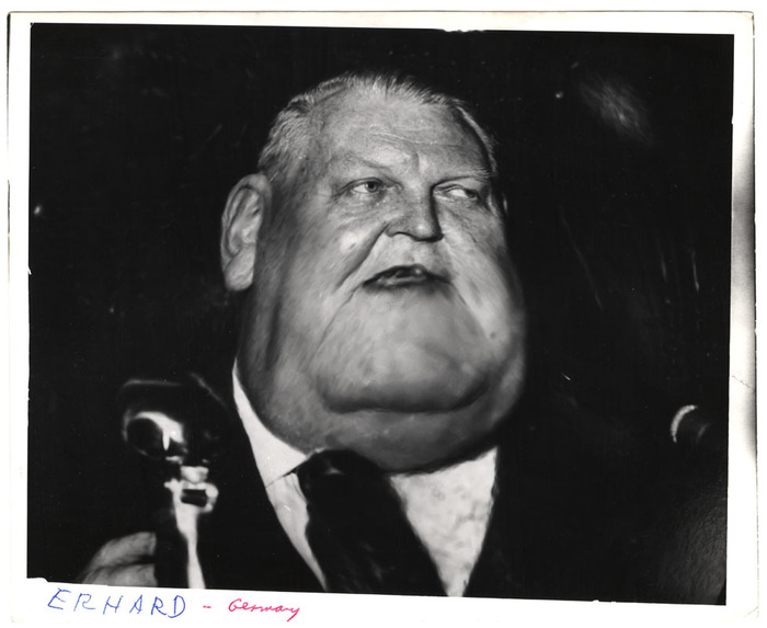 Ludwig Erhard (distortion)
