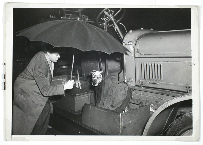 "Firemen heard the cry and took time out to cover Smokey with a rubber coat, while a bystander, above, added the shelter of an umbrella until the water tower was shut off."