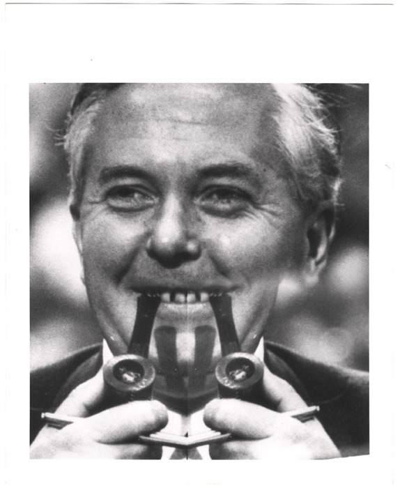 Harold Wilson (distortions)