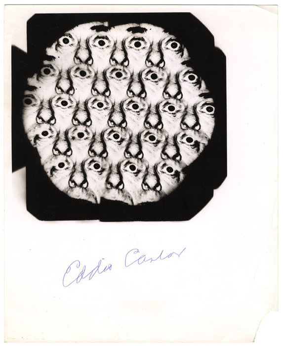 Eddie Cantor (distortion)