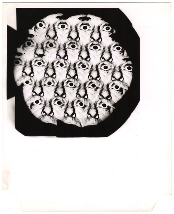 Eddie Cantor (distortion)