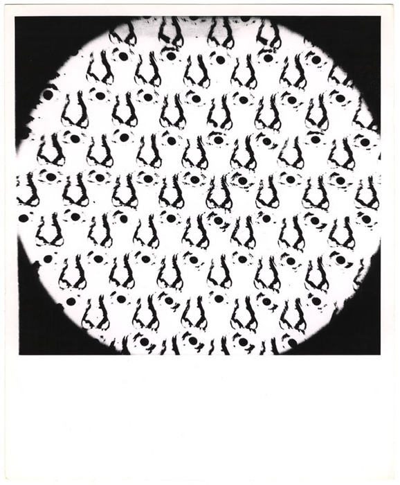 Eddie Cantor (distortion)