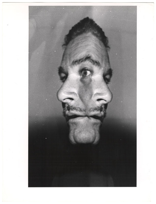 Errol Flynn (distortion)