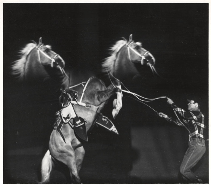 Roy Rogers and Trigger (distortion)