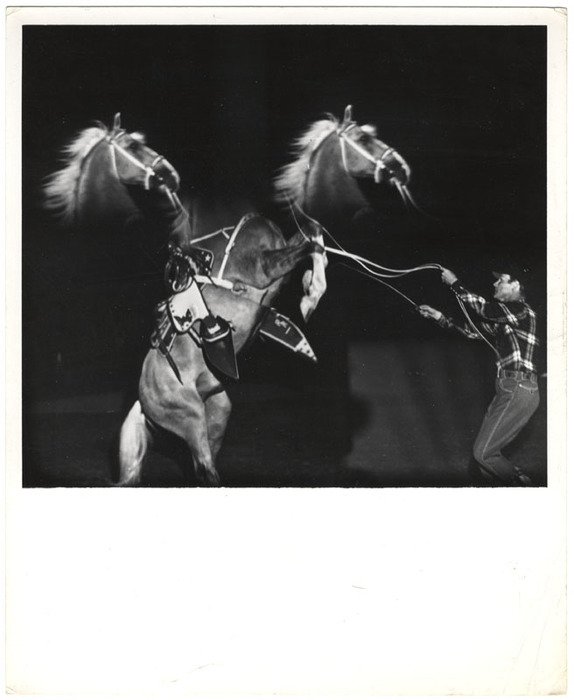 Roy Rogers and Trigger (distortion)