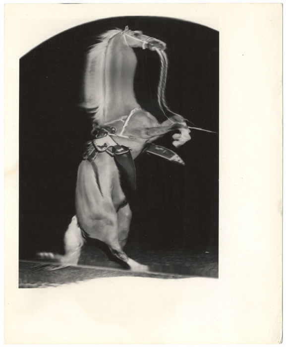 Trigger (distortion)