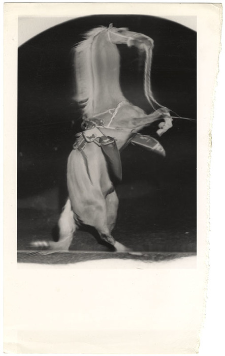 Trigger (distortion)