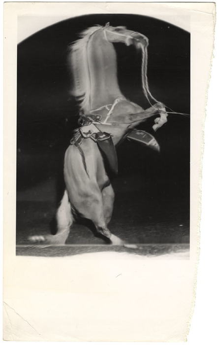 Trigger (distortion)