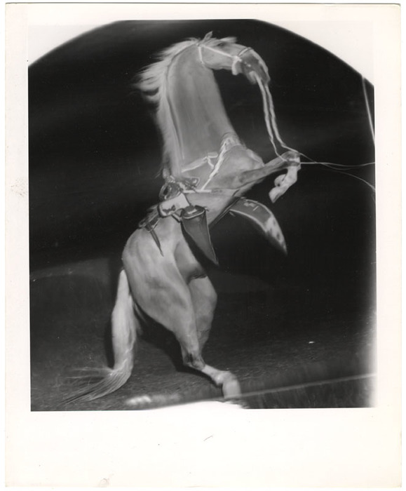 Trigger (distortion)