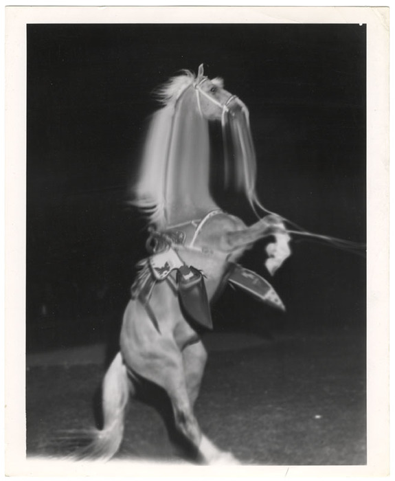 Trigger (distortion)