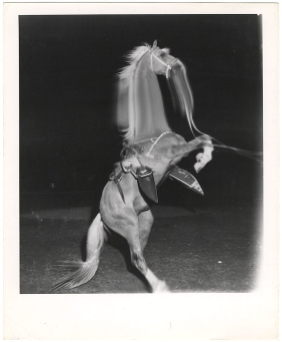 Trigger (distortion)