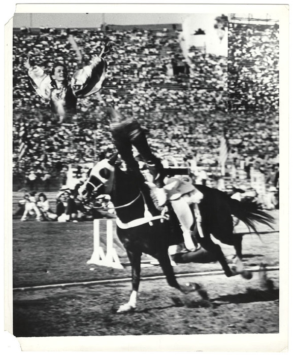 Horse trick (distortion)