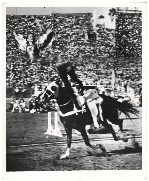 Horse trick (distortion)