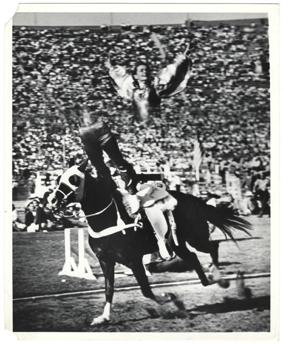 Horse trick (distortion)